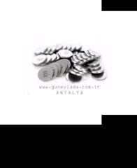 MOTOR-SUBAP AYAR ŞİMİ 3.20 48 51 52 Lada Samara Vega Kalina