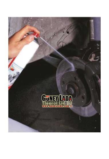 FREN BALATA TEMİZLEYİCİ SPREYİ DELPHİ [500 ml]