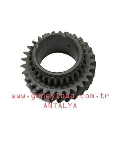 TRANS-DİŞLİSİ KÜÇÜK 49