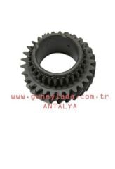 TRANS-DİŞLİSİ KÜÇÜK 49