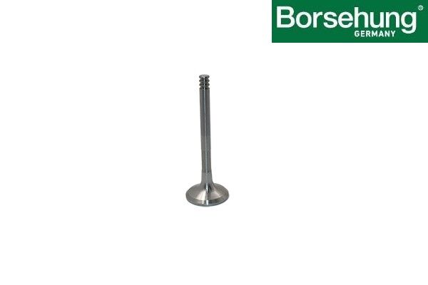 Volkswagen Golf - Subap Egsoz (7 mm Adet) 1.9-2.5 AGR-AVF-AVB-AXB-AXC-AXD-AXE - [Volkswagen Passat, Transporter T5] - 038109611F