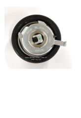 EKSANTİRİK,TRİGER GERGİ RULMANI [Skoda Felicia AEF,1.9D] 12p