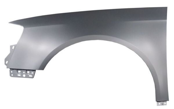 Volkswagen Passat - Çamurluk Ön Sol (Tong Yang) 06-10 - 3C0821021