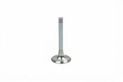 Audi A3 - Subap Egzoz (7mm Adet) 1.6 AFT-AKL-AEH-ARM - [Seat Leon; Skoda Octavia] - 048109611B