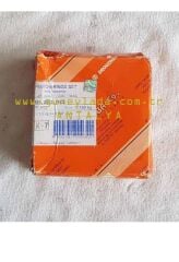 MOTOR-PİSTON+SEKMAN TKM. 82,00mm 8v STD Goetze 51 52 Lada Vega Kalina