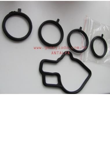 1600cc MOTOR-YAKIT EMME MODÜL KEÇESİ ORİNGİ TKM. 5AD. 16V 51