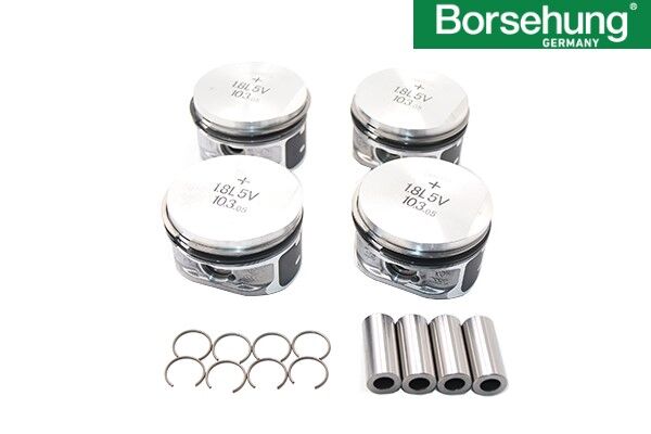 Volkswagen Passat - Piston Segman STD 81.00 MM (4 Adet) 1.8 ADR-APT-AGN - [Audi A4, A3; Skoda Octavia] - 058107065M