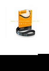 EKSANTİRİK,TRİGER KAYIŞI  120x300   [Skoda Fabia,AMF,BNV,BNM]