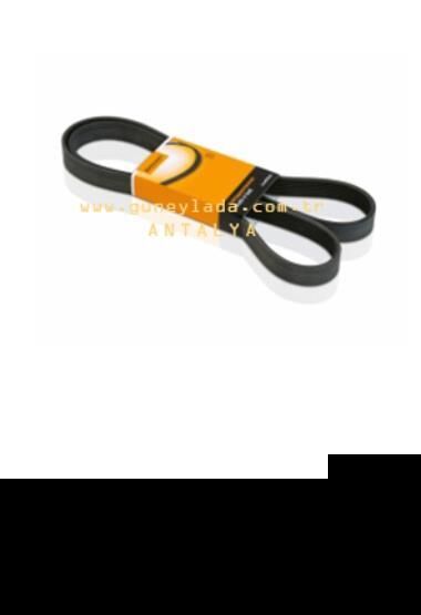 V KAYIŞI  6PK1660 [Skoda Octavia, AGR,AHF,ASV]   13O