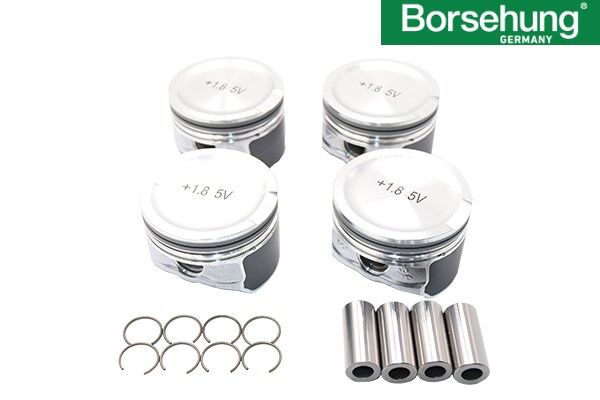Volkswagen Passat - Piston Segman STD 81.00 MM (4 Adet) AWT-AVJ 00-05 - [Audi A4, TT; Skoda Superb] - 06B107065N