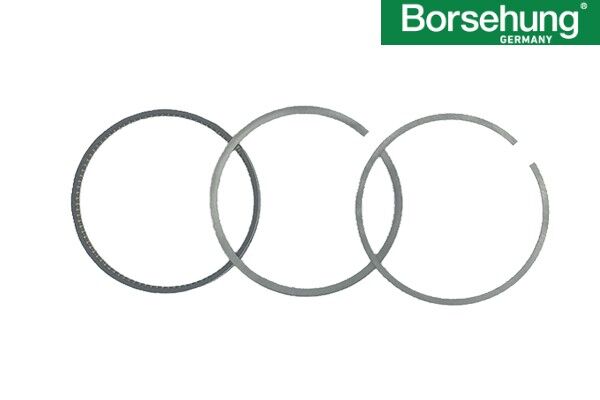 Volkswagen Passat - Motor Segman STD 81.00 MM (1 Piston İçin) AWT-AEB-AGN-APT-AGU-ADR - [Volkswagen Golf] - 06B198151B
