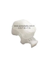 KARBÜRATÖR ŞAMANDIRASI [Skoda Favorit,Forman,Felicia,Pickup] 12