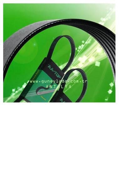 V KAYIŞI 6PK1053  [Skoda Octavbia, Volkswagen BJB,BKC,BXE,BLS,1.9,2.0] 13Vw  AA-TOP