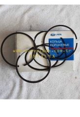 MOTOR-SEKMAN TAKIM 79.00 STD. 49 Lada Niva