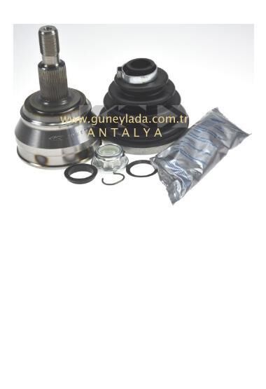 AKS LALESİ,KAFASI DIŞ  [Teker]  24 Diş  [AHF,ALH,A