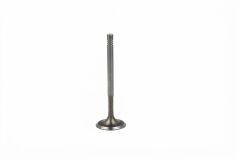 Volkswagen Passat - Subap Emme (6 MM Adet) 1.4-1.6 BLF-BAG-CAXA-C-BLG-BMY-CAVD - [Skoda Octavia] - 036109601AD