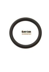O-RİNG - TERMOSTAT YUVA  [Skoda Felicia, Fabia] 28.17X3.53