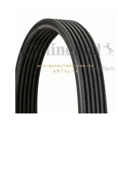 V KAYIŞI 6DPK1195 CONTİ [Skoda Octavia AEH,AGN,ASZ,AGU,AVU] 13O