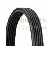 V KAYIŞI 6DPK1195 CONTİ [Skoda Octavia AEH,AGN,ASZ,AGU,AVU] 13O